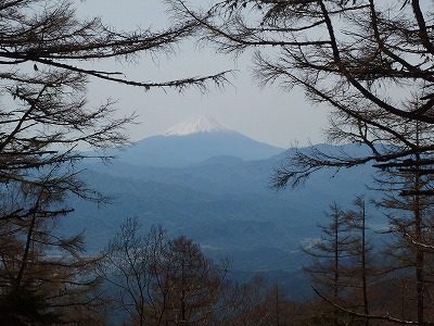 櫛形山に行ってきた