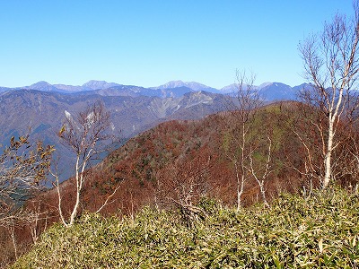 久々の山～上十枚・青笹～