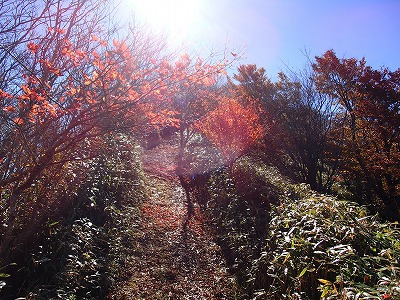 久々の山～上十枚・青笹～