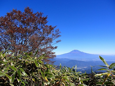 久々の山～上十枚・青笹～