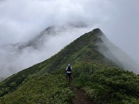 花の八ヶ岳へ