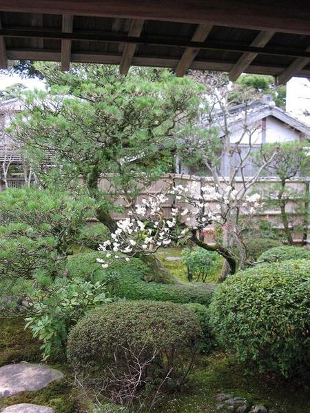 萩（2）