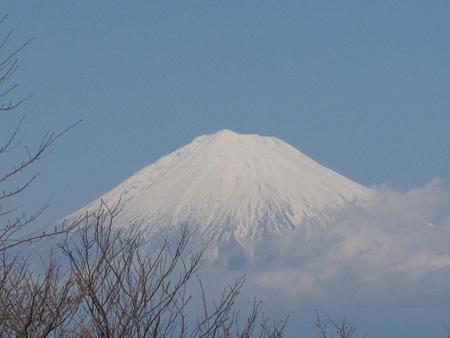 冬の日本平（2）