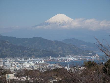 冬の日本平（2）