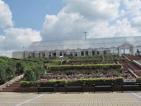 島田市　ばらの丘公園（1）