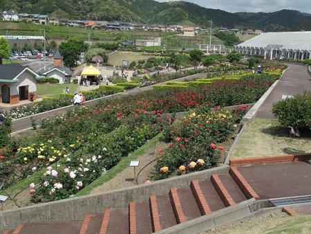 島田市　ばらの丘公園（2）