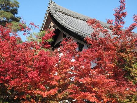 秋の京都・奈良（3）