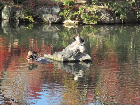 秋の京都・奈良（3）