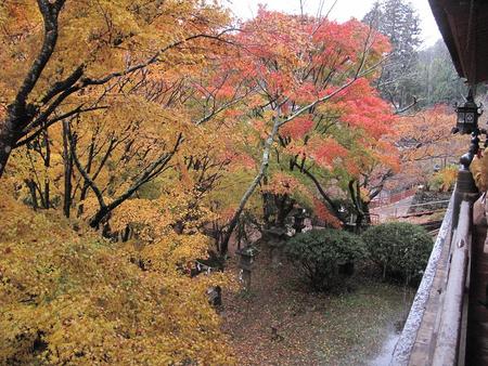 秋の京都・奈良（10）