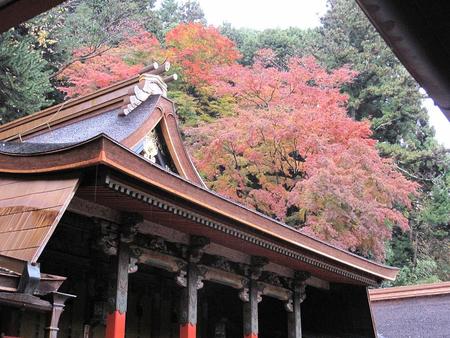 秋の京都・奈良（10）