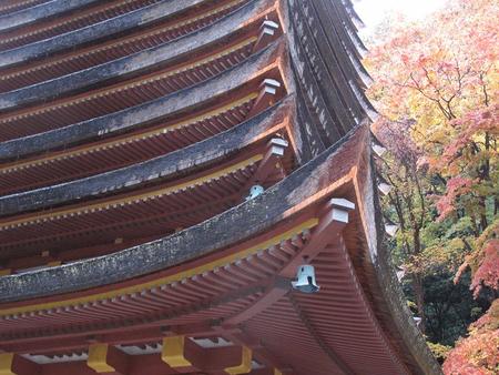 秋の京都・奈良（10）