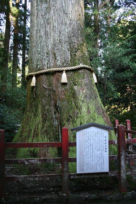 箱根神社