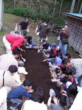 昆虫の原始の力を感じるディープワールド