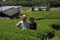 お茶と生きかた　向島園