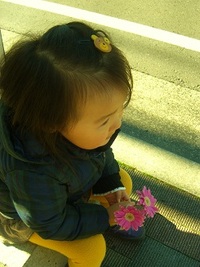 薔薇の花の匂いを嗅ぐのを忘れてはいけない