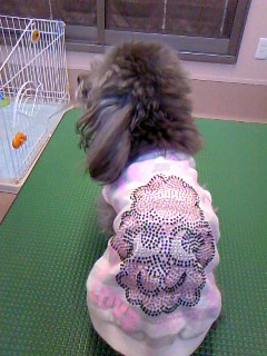 おめめスッキリ☆