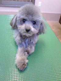 遅くなりましたが・・5☆ 2011/03/19 21:38:43