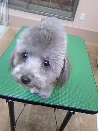 目指せ！！モコモコ☆ 2011/04/21 22:36:27