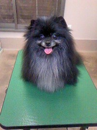 ふわっふわ～☆ 2011/04/30 22:39:34