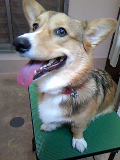 ノリノリ☆