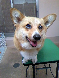 バンダナがお似合い☆