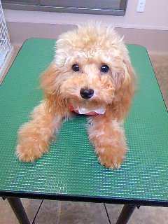苦手だけど・・☆