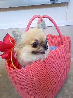 スヌたん☆