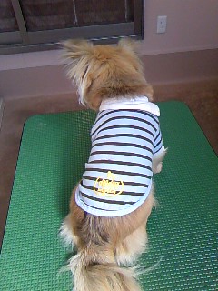 スヌたん☆