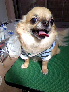 スヌたん☆