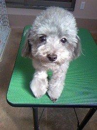早く治りますように☆ 2011/06/23 22:49:53