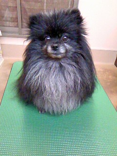 今年もこの季節☆