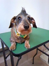 イケてる～☆ 2011/07/01 21:38:39