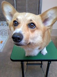 恒例の2週間☆ 2011/07/25 20:05:58
