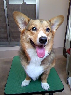 元気はつらつ☆