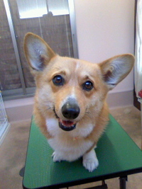 おめめをつぶって☆ 2011/02/07 19:48:40