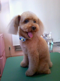 ウトウト☆ 2011/02/21 23:34:47