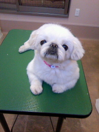 ようこそ～☆ 2011/02/23 18:32:52