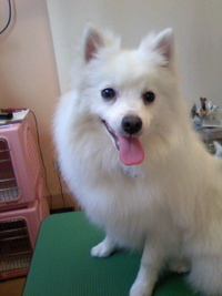 ようこそ～☆ 2011/02/27 19:46:42