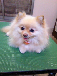 仲良しな2人☆ 2011/03/20 20:12:49