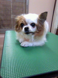 久しぶり～☆ 2011/03/21 22:11:46