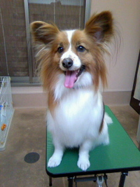 1週間おくれ☆ 2011/03/22 22:53:17