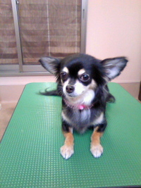 HappyBirthday☆ 2011/04/02 21:21:29