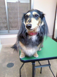 パパと一緒☆ 2011/04/08 19:20:08