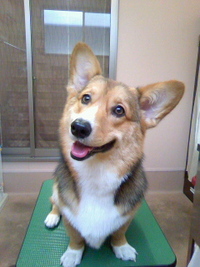 お風呂好き～～☆ 2011/04/08 22:45:54