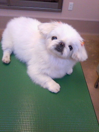 うっとり☆ 2011/04/20 20:48:38