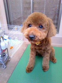 久しぶり～☆ 2011/04/26 18:28:22