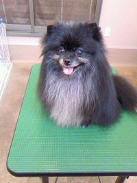 ネネスマイル☆ 2011/05/14 22:39:31