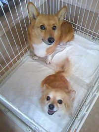 仲良しな2人☆ 2011/05/16 20:15:01