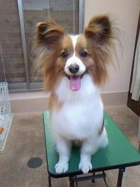 雷怖かったね☆ 2011/05/17 23:28:46