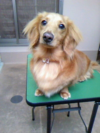 ピンクがお似合い☆ 2011/05/24 23:12:12